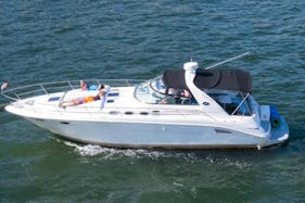 40' SEARAY Motor Yacht*