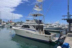 Waikiki Yacht Rental/ Sunset trips/ Sportfishing Whale watching