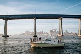 33ft Party Cruiser in San Diego Bay (Up to 12 guests)