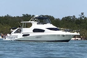 Large Crusing Yacht - fun day cruises, lunch outings, sunset and dolphin tours