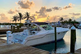 46' Wellcraft - Day or Multi day charters!  KEYS Liveaboard trips our specialty.